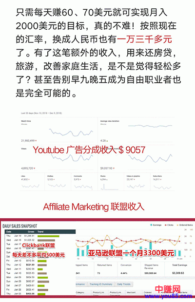 图片[3]-（914期）手把手教你操作youtube日赚70美元（14课视频+文档）无水印-副业项目资源网