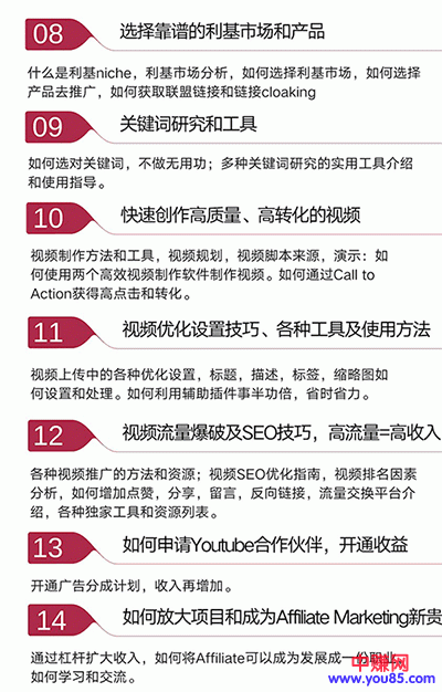 图片[5]-（914期）手把手教你操作youtube日赚70美元（14课视频+文档）无水印-副业项目资源网