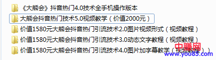 图片[2]-（908期）某高端赚钱项目：大熊会抖音热门技术2.0到5.0（全套视频课程）-副业项目资源网