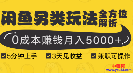 图片[2]-（940期）闲鱼另类玩法全方位解析，5分钟上手+3天见收益，0成本赚钱月入5000+(8节课)-副业项目资源网