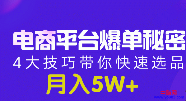 图片[2]-（950期）电商平台爆单 月入5W+的秘密：4大技巧带你快速选品(8节视频课)-副业项目资源网