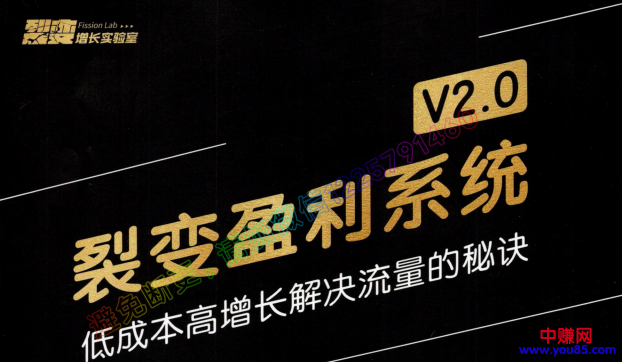 图片[2]-（955期）低成本高增长解决流量的秘诀《裂变盈利系统V2.0》视频+文档-副业项目资源网