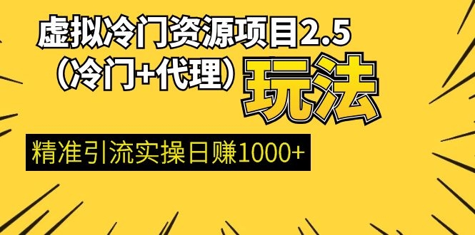 （1185期）虚拟冷门资源项目2.5（冷门&代理玩法） 精准引流实操日赚1000+(更新中)-副业项目资源网