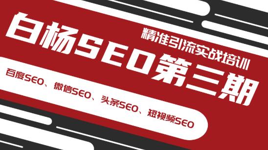 图片[2]-（1240期）白杨SEO第三期精准引流实战培训（百度SEO、微信SEO、头条SEO、短视频SEO）-副业项目资源网