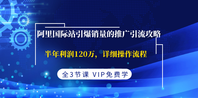 （1374期）阿里国际站引爆销量的推广引流攻略，半年利润120万，详细操作流程(全3节课)-副业项目资源网