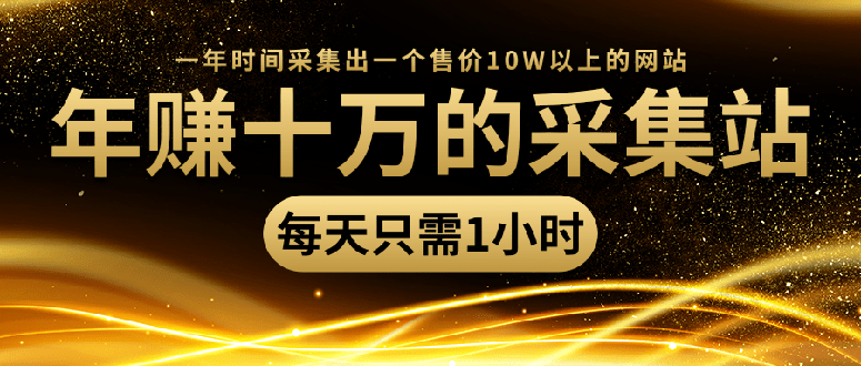 （1418期）年赚十万的采集站，每天1小时，一年采集出一个售价10W的网站（无水印）-副业项目资源网