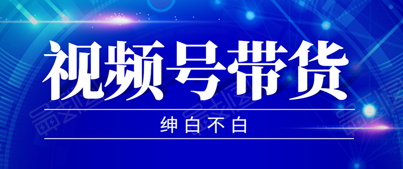 （1502期）2020年9月红利项目：视频号带货，实测单个账号稳定日收入300左右（附素材）-副业项目资源网