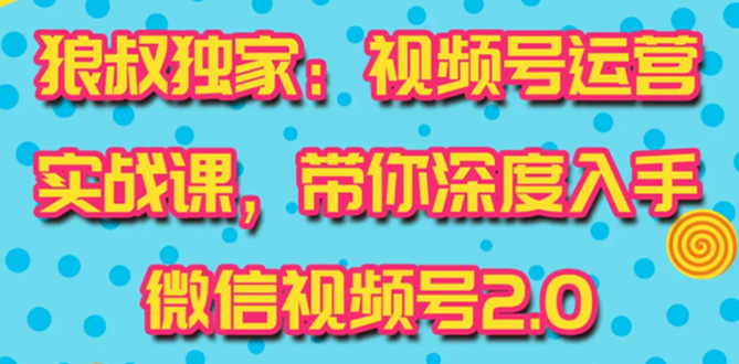 （1521期）视频号运营实战课2.0，目前市面上最新最全玩法，快速吸粉吸金（10节视频）-副业项目资源网