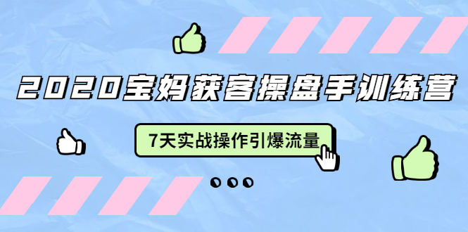 （1542期）2020宝妈获客操盘手训练营：7天实战操作引爆 母婴、都市、购物宝妈流量-副业项目资源网