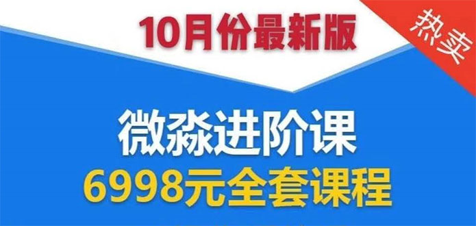 （1553期）微淼理财进阶课全套视频：助你早点实现财务自由，理论学习+案例分析+实操-副业项目资源网