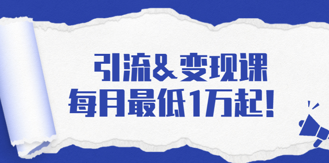 （1721期）引流&变现课：分享一整套流量方法以及各个渠道收入，每月最低1万起！-副业项目资源网