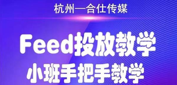 （1749期）合仕传媒Feed投放教学，手把手教学，开车烧钱必须自己会！-副业项目资源网