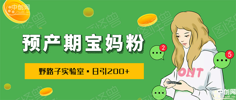 （1725期）日引200+预产期宝妈，从预产期到K12教育持续转化…操作方法简单-副业项目资源网