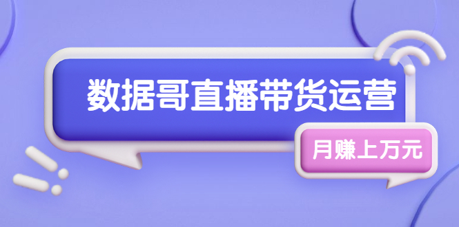 （1761期）数据哥直播带货运营线上进阶课，让普通人也能靠直播月赚上万元-副业项目资源网