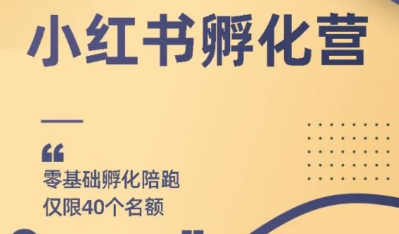 （1763期）勇哥小红书撸金快速起量项目：教你如何快速起号获得曝光，做到月躺赚3000+-副业项目资源网