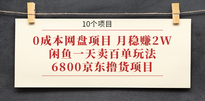 （1928期）0成本网盘项目 月稳赚2W+闲鱼一天卖百单玩法+6800京东撸货项目 (10个项目)-副业项目资源网