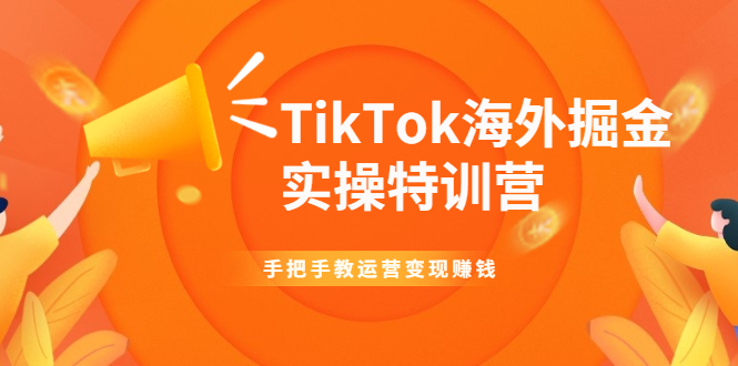 （1942期）TikTok海外掘金实操特训营：手把手教运营变现赚钱【视频课程】-副业项目资源网