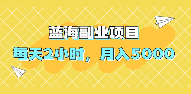 （1953期）蓝海副业项目，每天2小时，月入5000，附详细操作流程-副业项目资源网