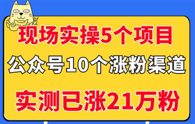 （2947期）现场实操5个公众号项目，10个涨粉渠道，实测已涨21万粉！-副业项目资源网