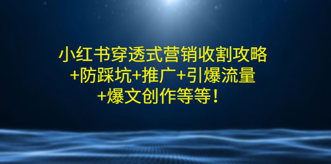 （2907期）小红书穿透式营销收割攻略+防踩坑+推广+引爆流量+爆文创作等等！-副业项目资源网