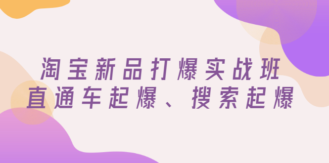 （2816期）淘宝新品打爆实战班，直通车起爆、搜索起爆（价值599元）-副业项目资源网