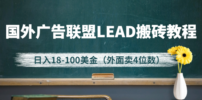 （2616期）外面卖4位数的国外广告联盟LEAD搬砖教程，日入18-100美金（教程+软件）-副业项目资源网