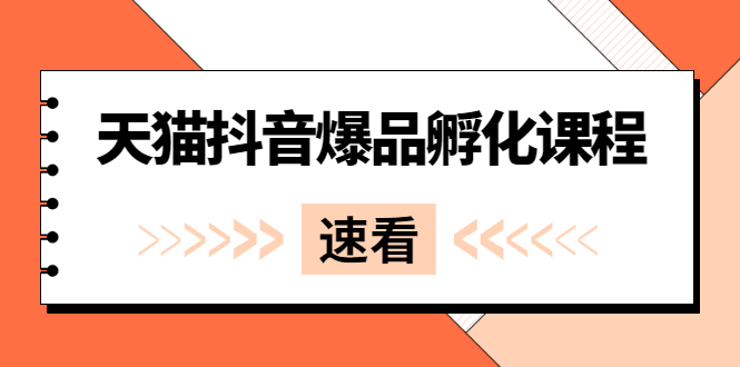 （2529期）《天猫抖音爆品孵化课程》独家绝密新品引爆法-副业项目资源网