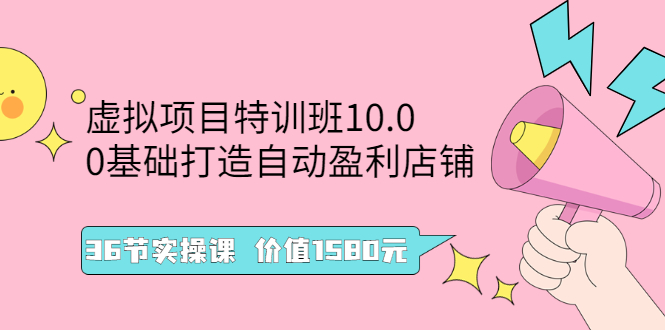 （2497期）虚拟项目特训班10.0，0基础打造自动盈利店铺 36节实操课-副业项目资源网