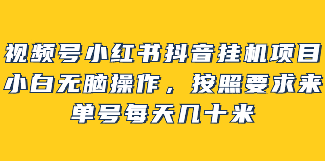 （2437期）视频号小红书抖音挂机项目，小白无脑操作，按照要求来，单号每天几十米-副业项目资源网