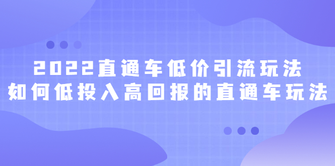 （2415期）2022直通车低价引流玩法，教大家如何低投入高回报的直通车玩法-副业项目资源网