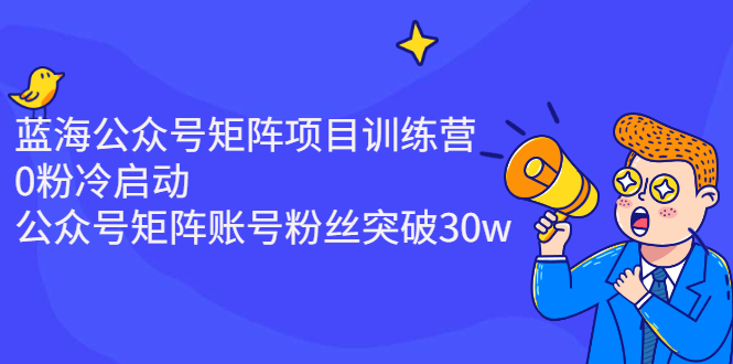 （2405期）蓝海公众号矩阵项目训练营，0粉冷启动，公众号矩阵账号粉丝突破30w-副业项目资源网