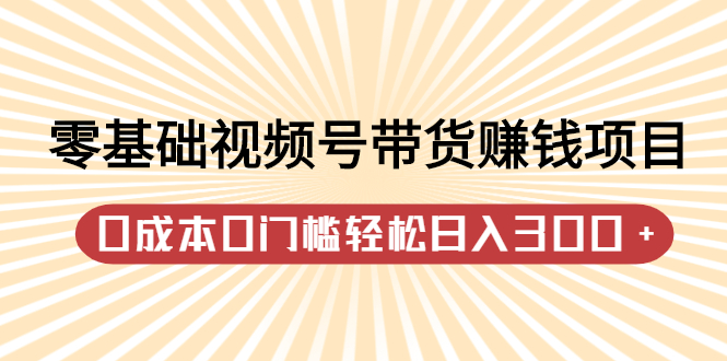 （2414期）零基础视频号带货赚钱项目，0成本0门槛轻松日入300+【视频教程】-副业项目资源网