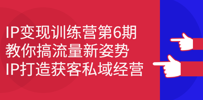 （2351期）IP变现训练营第6期：教你搞流量新姿势，IP打造获客私域经营-副业项目资源网