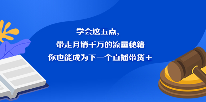 （2326期）学会这五点，带走月销千万的流量秘籍，你也能成为下一个直播带货王-副业项目资源网