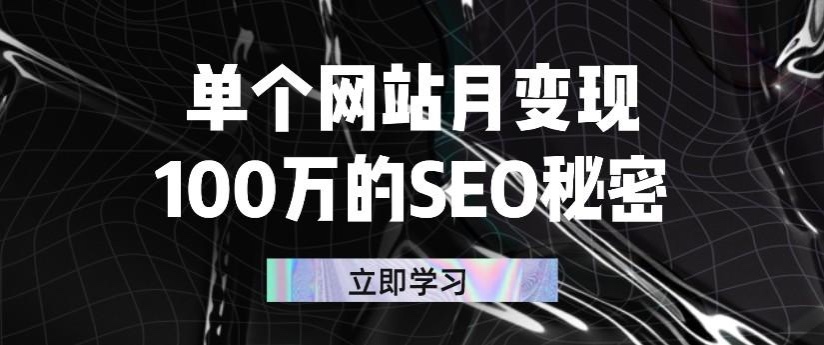 （2332期）单个网站月变现100万的SEO秘密：如何百分百做出赚钱站点-副业项目资源网