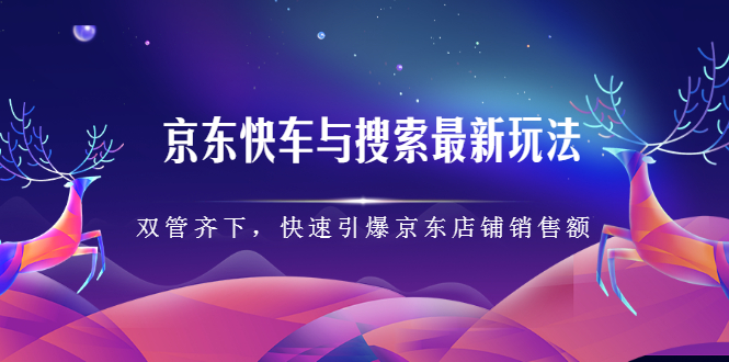 （2291期）京东快车与搜索最新玩法：双管齐下月销百万，快速引爆京东店铺销售额-副业项目资源网