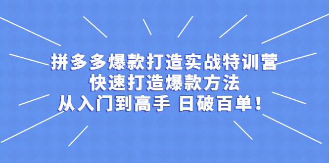 （2237期）拼多多爆款打造实战特训营：快速打造爆款方法，从入门到高手 日破百单-副业项目资源网