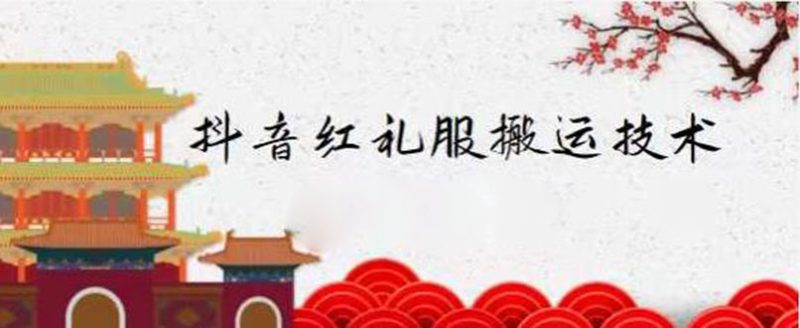 （2235期）抖音红礼服搬运技术，最近很火的搬运方法，外面收大几百-副业库