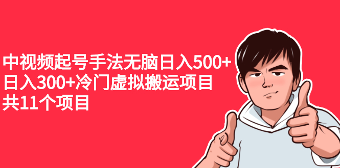 （2224期）中视频起号手法无脑日入500+日入300+冷门虚拟搬运项目（共11个项目）-副业项目资源网