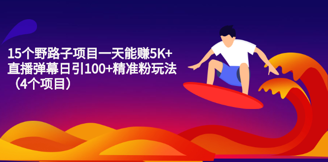 （2213期）15个野路子项目一天能赚5K+直播弹幕日引100+精准粉玩法（4个项目）-副业项目资源网