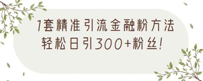 （2156期）1套精准引流金融粉方法，轻松日引300+粉丝【视频课程】-副业项目资源网