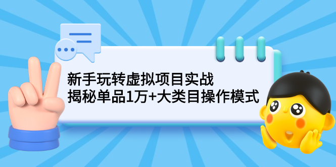 （2144期）新手玩转虚拟项目实战，揭秘单品1万+大类目操作模式【视频课程】-副业项目资源网