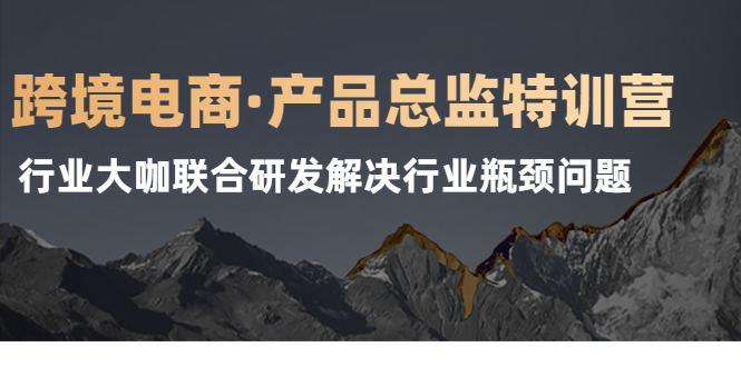 （2125期）跨境电商·产品总监特训营，行业大咖联合研发解决行业瓶颈问题-副业项目资源网