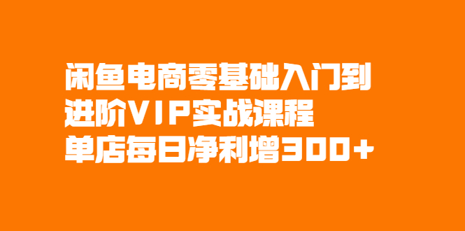 （2082期）闲鱼电商零基础入门到进阶VIP实战课程，单店每日净利增300+-副业项目资源网