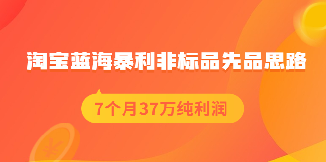 （2054期）淘宝蓝海暴利非标品先品思路，7个月37万纯利润，压箱干货分享！-副业项目资源网