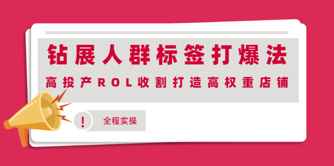 （2018期）钻展人群标签打爆法，高投产ROL收割打造高权重店铺(全程实操)-副业项目资源网