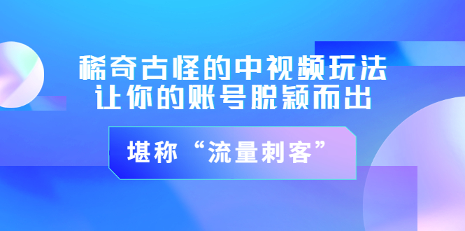 （3159期）稀奇古怪的中视频玩法，让你的账号脱颖而出，堪称“流量刺客”（图文+视频)-副业项目资源网