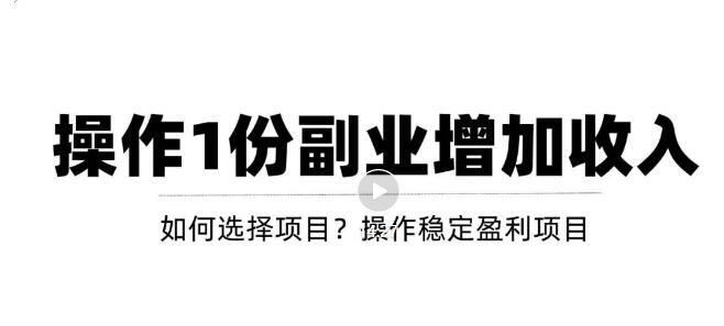 （3217期）新手如何通过操作副业增加收入，从项目选择到玩法分享！【视频教程】-副业项目资源网