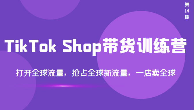 （3342期）TikTok Shop带货训练营，打开全球流量，抢占全球新流量 一店卖全球(第14期)-副业项目资源网