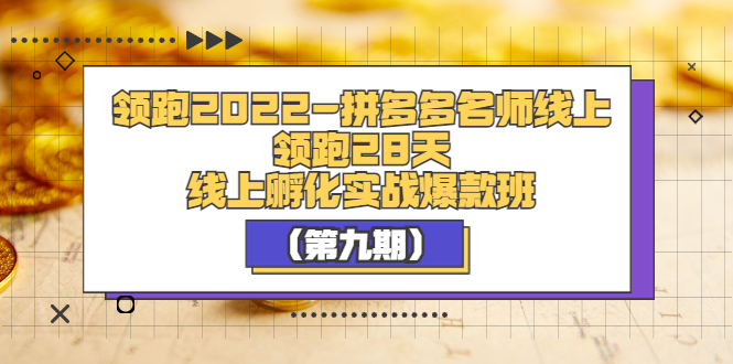 （3370期）领跑2022-拼多多名师线上领跑28天，线上孵化实战爆款班（第九期）-副业项目资源网